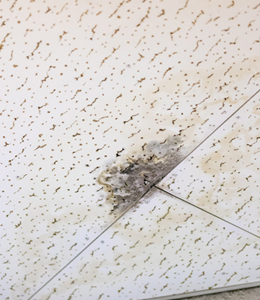 屋根の破損、雨漏り補修