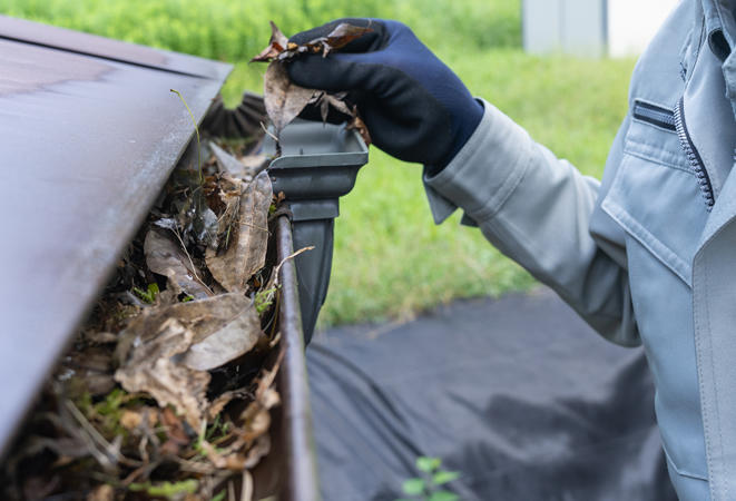 雨樋清掃